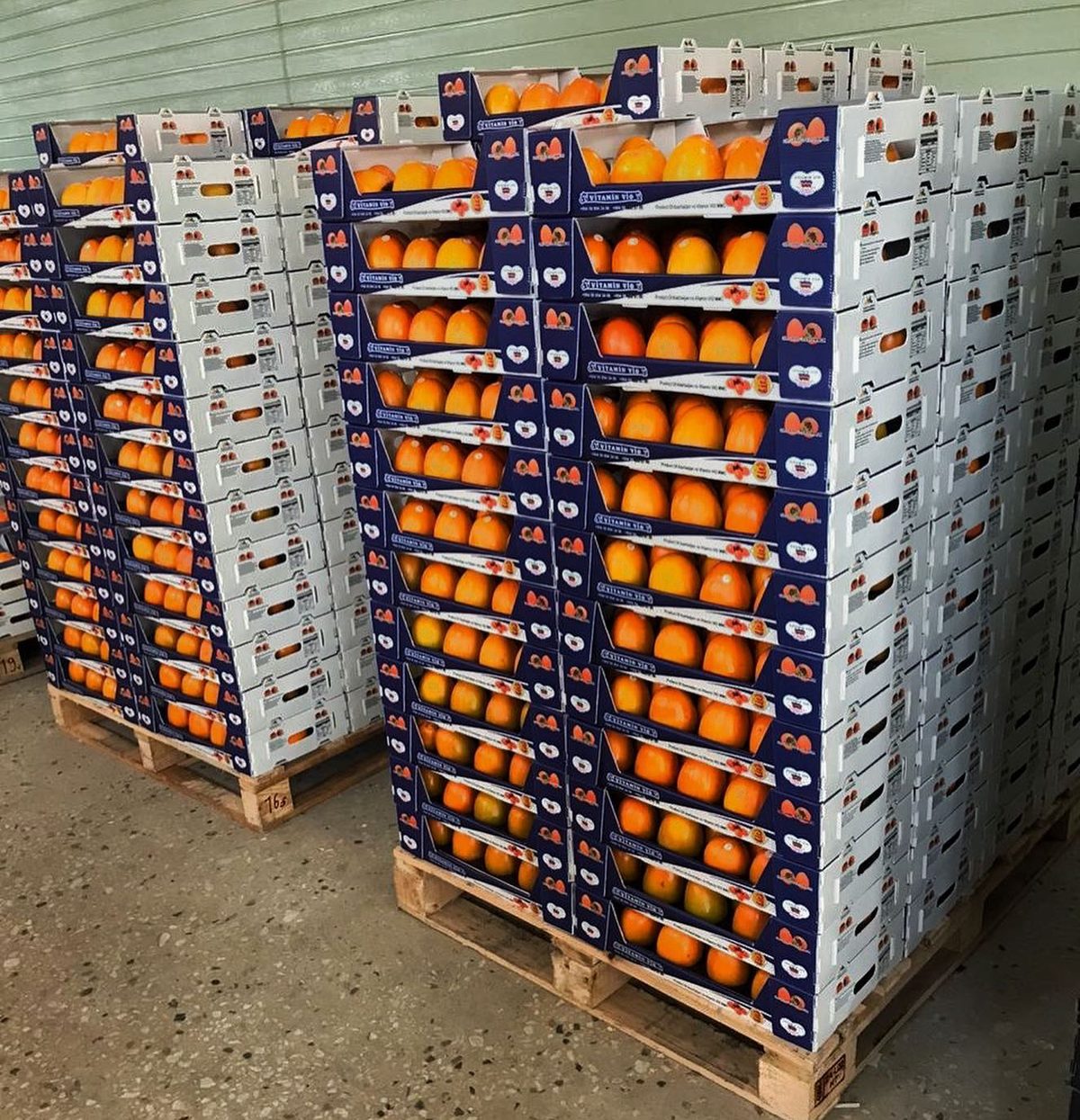 Harvest being shipped out
