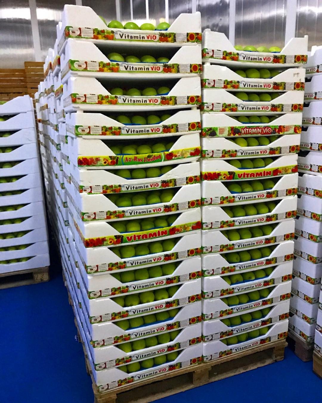 Sweet cherries in branded packaging